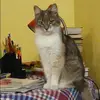 Отзыв от Антонина Карпова